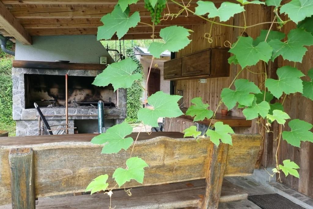 Country Retreat, Near Ljubljana City, Apartma Na Vasi, Blizu Mesta Ljubljana Lejlighed Medvode Eksteriør billede